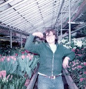 Hoak s Greenhouse